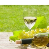 ブルゴーニュ白ワインおすすめ14選｜ブドウの品種で味わいが変わる