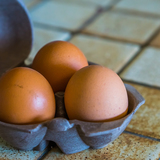 卵ケースのおすすめ8選｜冷蔵庫収納・キャンプへの持ち運びに【卵が割れない】