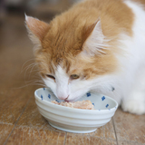猫用食器のおすすめ5選｜ウエットフードなどの餌入れに【早食い防止にも】