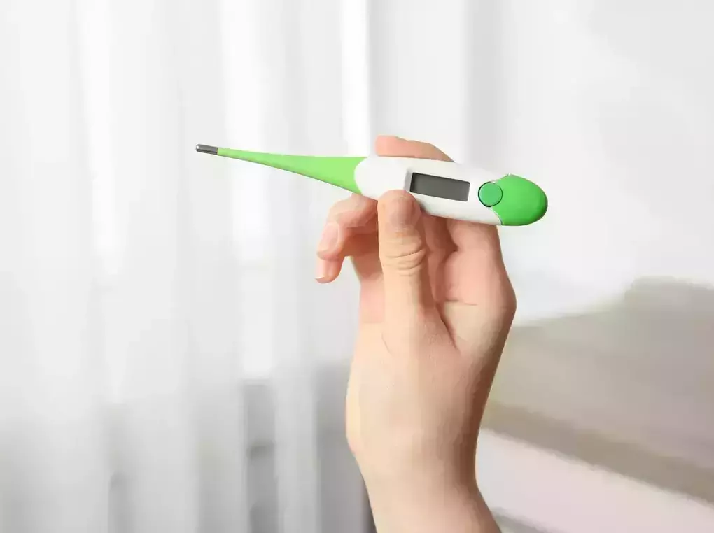 テルモの体温計人気おすすめ6選！20秒で予測できるタイプや、水洗い可能なモデルも