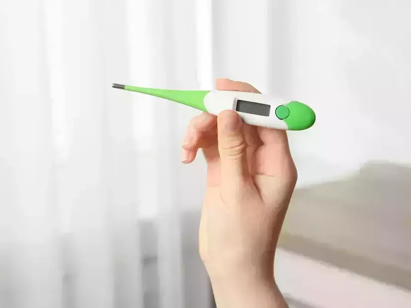テルモの体温計人気おすすめ6選！20秒で予測できるタイプや、水洗い可能なモデルも