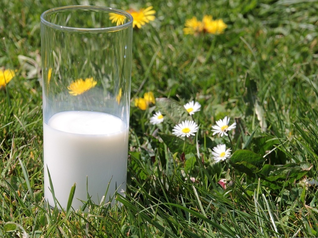 乳飲料の牛乳のおすすめ7選｜おなかに優しいものからカルシウムを強化したものまで！