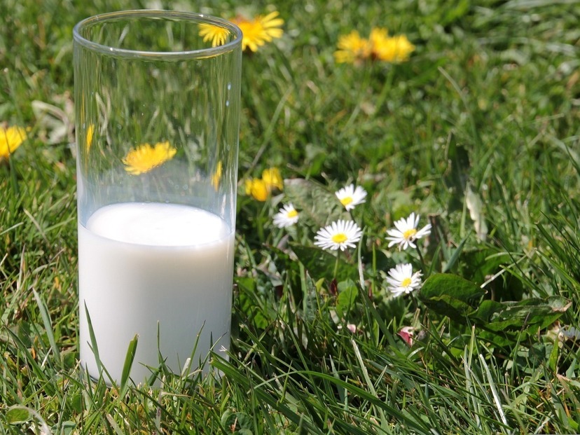 乳飲料の牛乳おすすめ7選｜おなかに優しいものからカルシウムを強化したものまで！