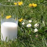 乳飲料の牛乳おすすめ8選｜おなかに優しいものからカルシウムを強化したものまで！