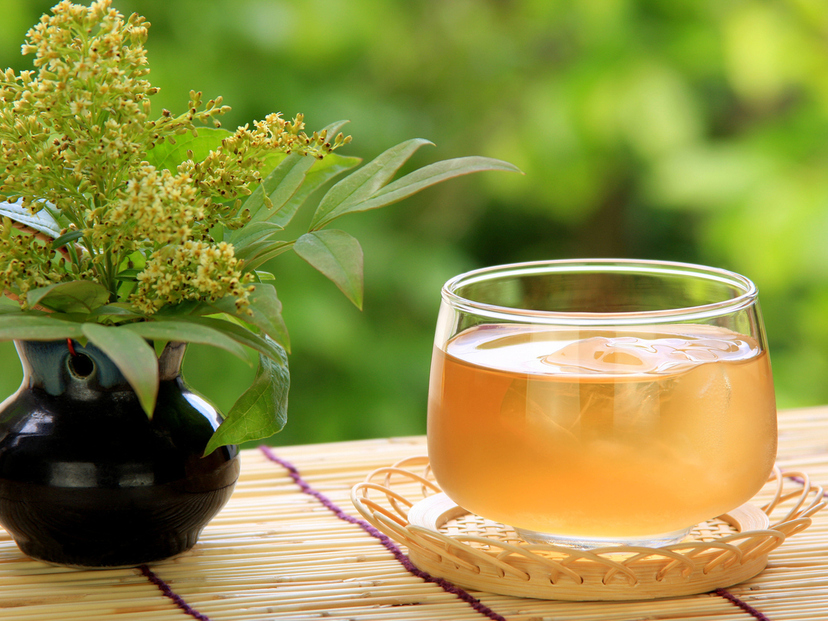 ペットボトル麦茶の人気おすすめ10選！軽くて持ち運びしやすい！ラベルレスも