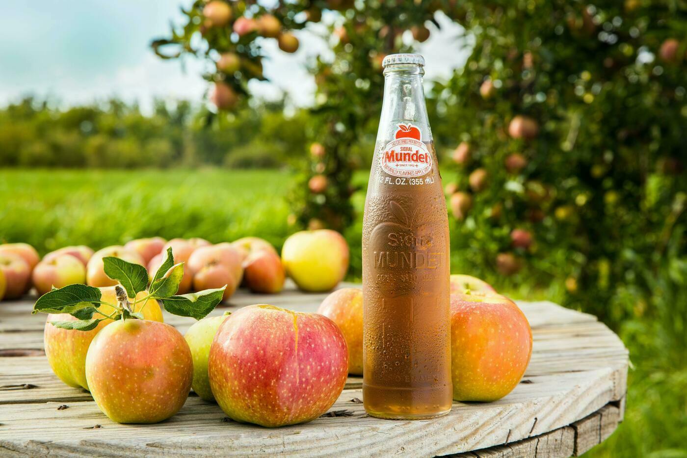 瓶のりんごジュースおすすめ7選｜飲みきりタイプから定番の1000ml、珍しい一升瓶まで！ マイナビおすすめナビ