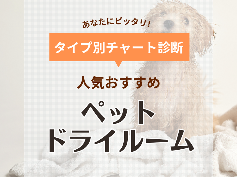 ペットドライルーム人気おすすめ8選【飼い主も快適】注意点やメリット・デメリットも解説 | マイナビおすすめナビ