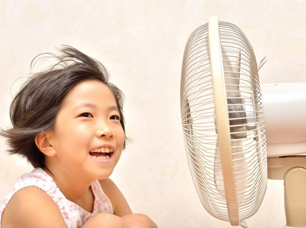 扇風機の電気代はどのくらい？時間・月ごとの金額目安、おすすめ商品も紹介