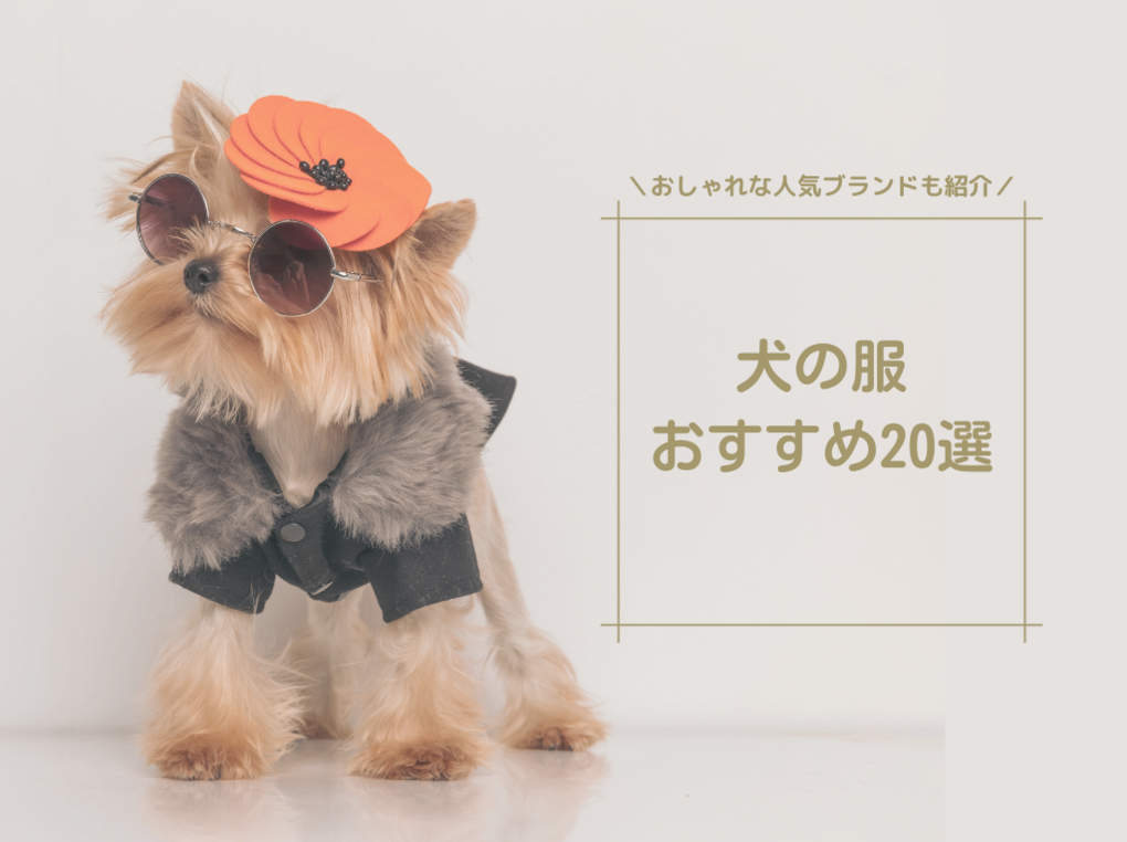 2023年】犬の服おすすめ20選｜おしゃれな人気ブランドもまとめて紹介