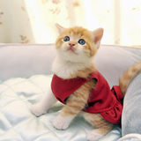 猫服おすすめ10選｜かわいい服から面白いコスプレまで！ 【防寒にも】