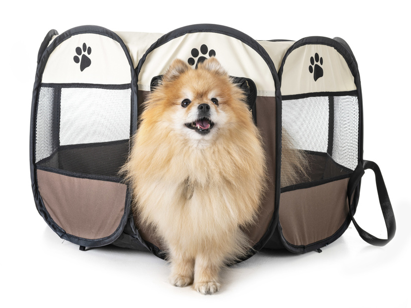 犬用折りたたみケージ人気おすすめ13選！持ち運びラク！ 防災用にも
