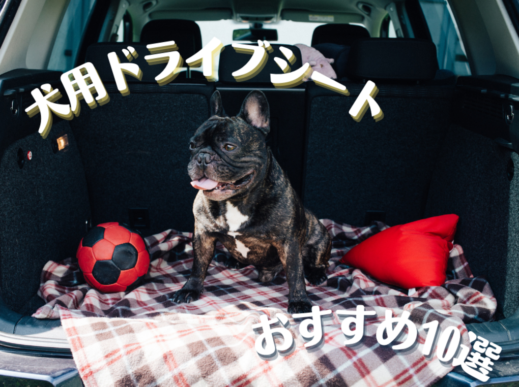 犬用車シート（ドライブシート）おすすめ10選｜大型犬も乗せられる