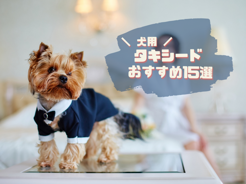 犬用タキシードおすすめ15選｜結婚式のリングドッグやお誕生日などのお祝いに！