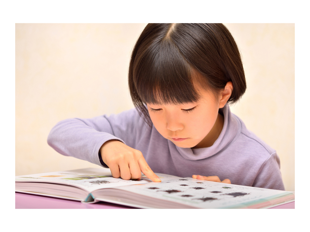 昆虫図鑑人気おすすめ18選【子どもから大人向けまで】面白い本や専門書を紹介
