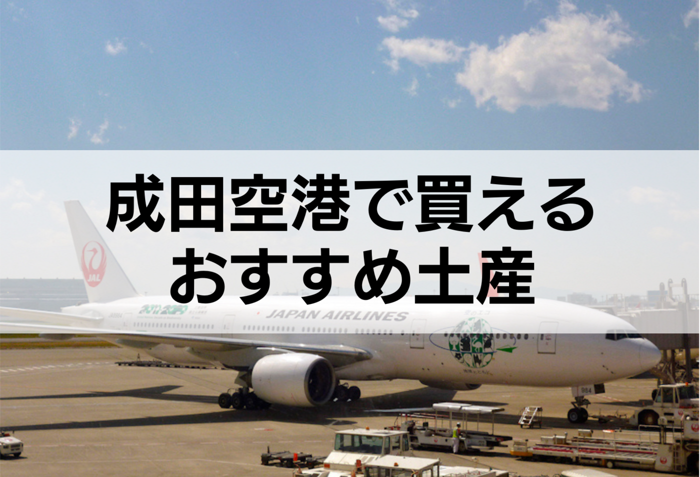 ショップ 成田 空港 ライター 販売