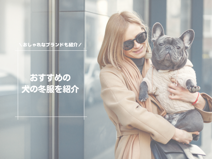 犬の冬服おすすめ15選｜お散歩や部屋着に【着せやすい一体型もご紹介