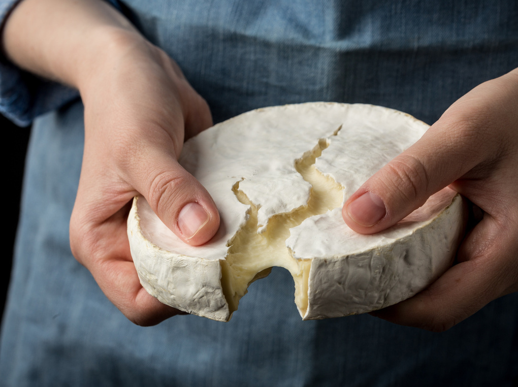 カマンベールチーズおすすめ11選｜人気のメーカーやおいしい食べ方も紹介！
