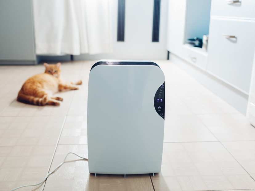 安い除湿機の人気おすすめ10選！コスパ最強一人暮らしに！小型・衣類乾燥機能付きも