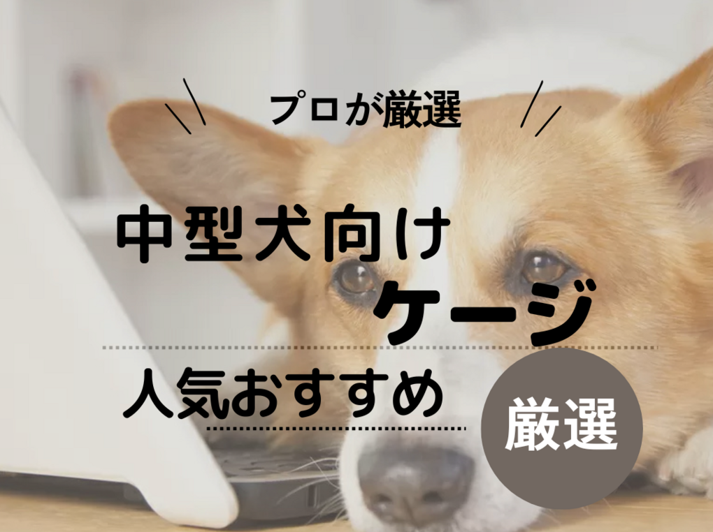 プロに聞く！中型犬向けケージ人気おすすめ9選！選び方や注意点も解説