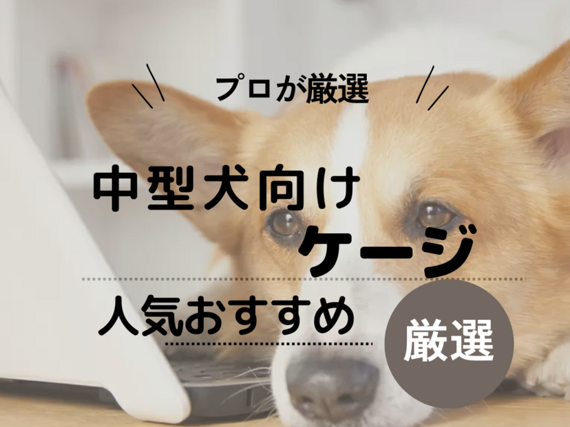 プロに聞く！中型犬向けケージ人気おすすめ9選！選び方や注意点も解説