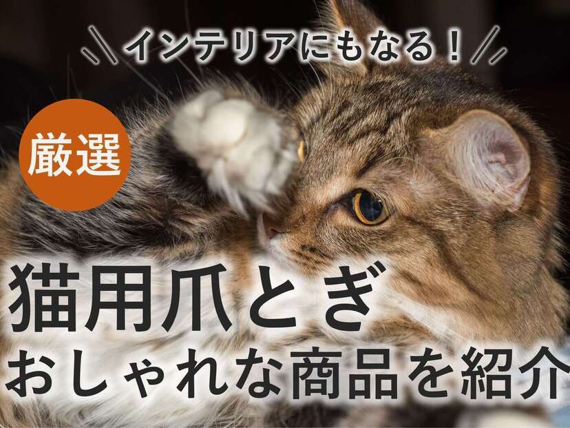 猫つめとぎ 猫つめとぎソファー 爪みがき 爪やすり 爪とぎ やわらかい 段ボール 猫