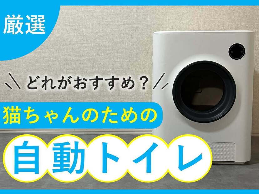 猫用の自動トイレおすすめ7選！人気の日本製やおしゃれなタイプまで紹介