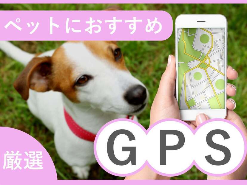 【犬・猫向け】ペット用GPSおすすめ11選！首輪に付けられる商品・リアルタイム追跡も
