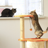 多頭飼い向けのキャットタワー人気おすすめ6選！大型猫対応やおしゃれな木製も