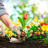 花用肥料おすすめ6選｜オーガニック肥料など、お花が元気になる商品を紹介