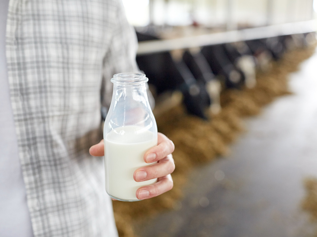 お取り寄せ牛乳の人気おすすめ12選！通販で買える【ノンホモ牛乳や飲み切りサイズも】