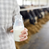 通販でおすすめのお取り寄せ牛乳13選【ノンホモ牛乳や飲み切りサイズも！】