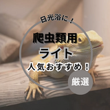 爬虫類用ライト人気おすすめ12選【日光浴に】紫外線・バスキング・兼用も