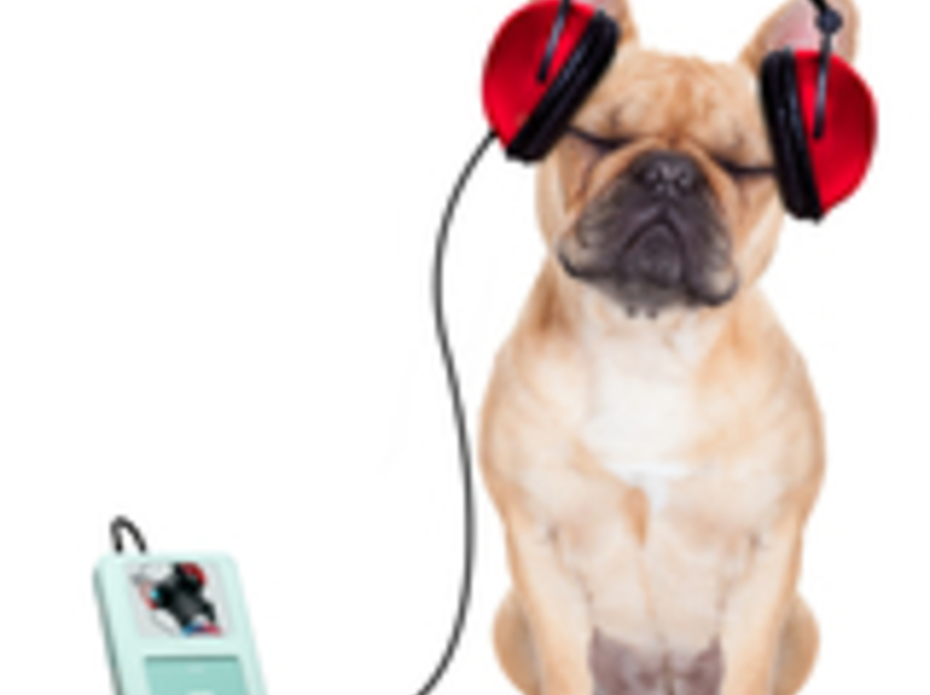 MP3プレイヤー人気おすすめ16選！ ハイレゾ、長時間再生可能、Wi-Fi対応など
