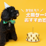 通販で買える！犬用ケーキおすすめ15選｜愛犬の誕生日をお祝いしよう