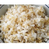 発芽玄米おすすめ12選｜玄米との違いや栄養などの効果・メリットを紹介！