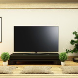 大型テレビおすすめ16選｜有機EL、4K・壁掛けなどの人気商品を紹介