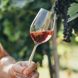 カリフォルニアワインのおすすめ16選【コスパ最高】ナパヴァレーワインも紹介！