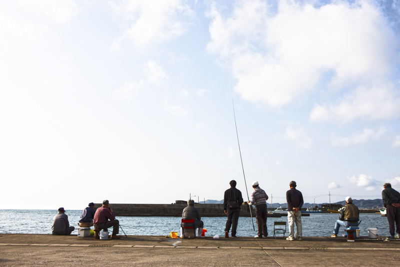 釣りライターがおすすめするエギ5選 エギングで使えて よく追い よく乗る マイナビおすすめナビ