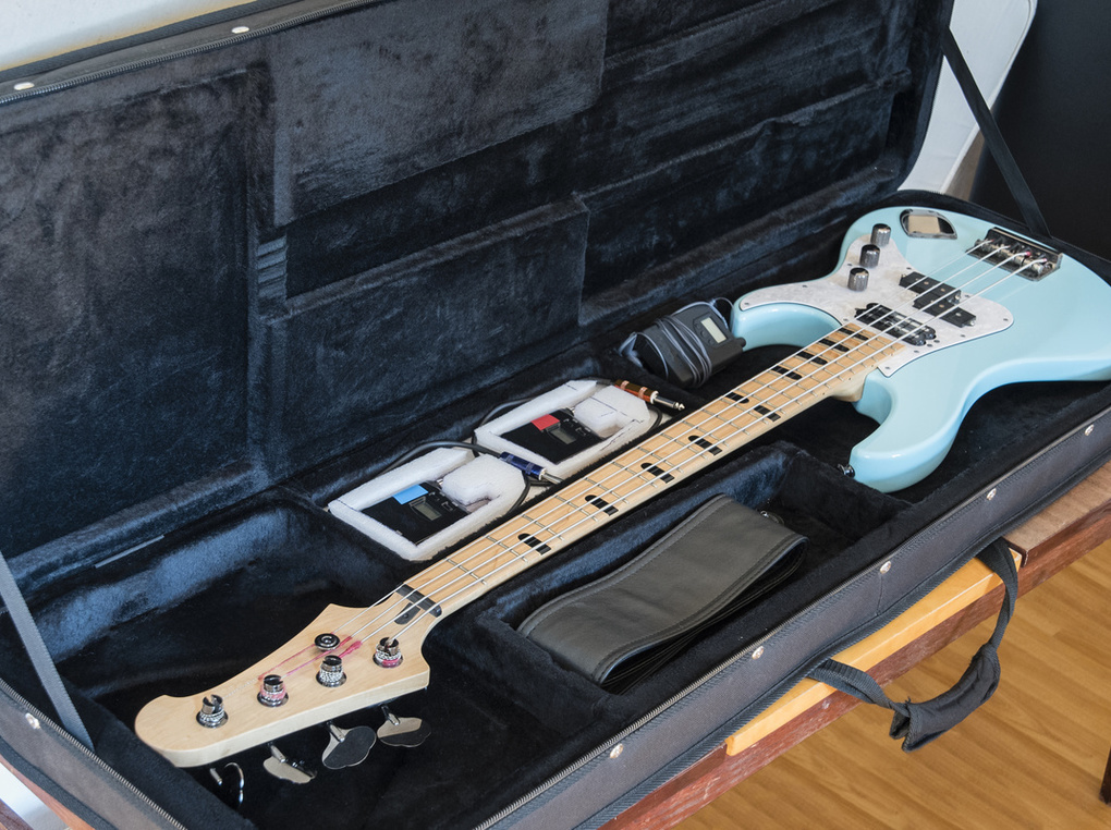 MONO M80 ELECTRIC BASS エレキベース ケース ギグバッグ-