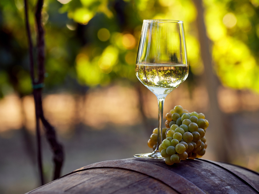 シャルドネ白ワインおすすめ18選 辛口 甘口を評価 産地別の特徴も紹介 マイナビおすすめナビ