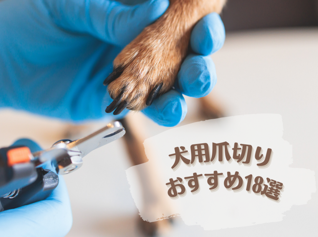 【2023年】犬用爪切りのおすすめ18選｜爪切り頻度や使い方も解説！