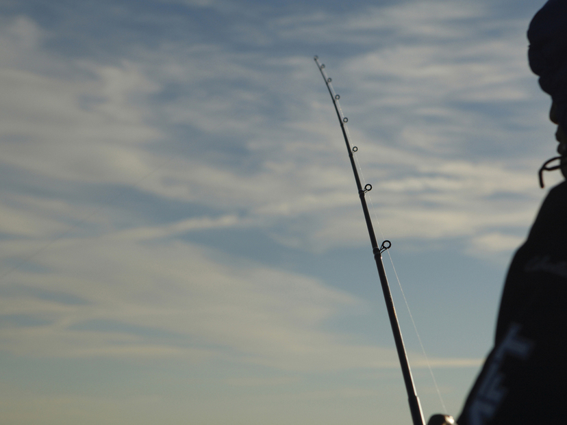 釣りライターがおすすめ ベイトフィネスロッド5選 軽量ルアーの釣りを極める マイナビおすすめナビ
