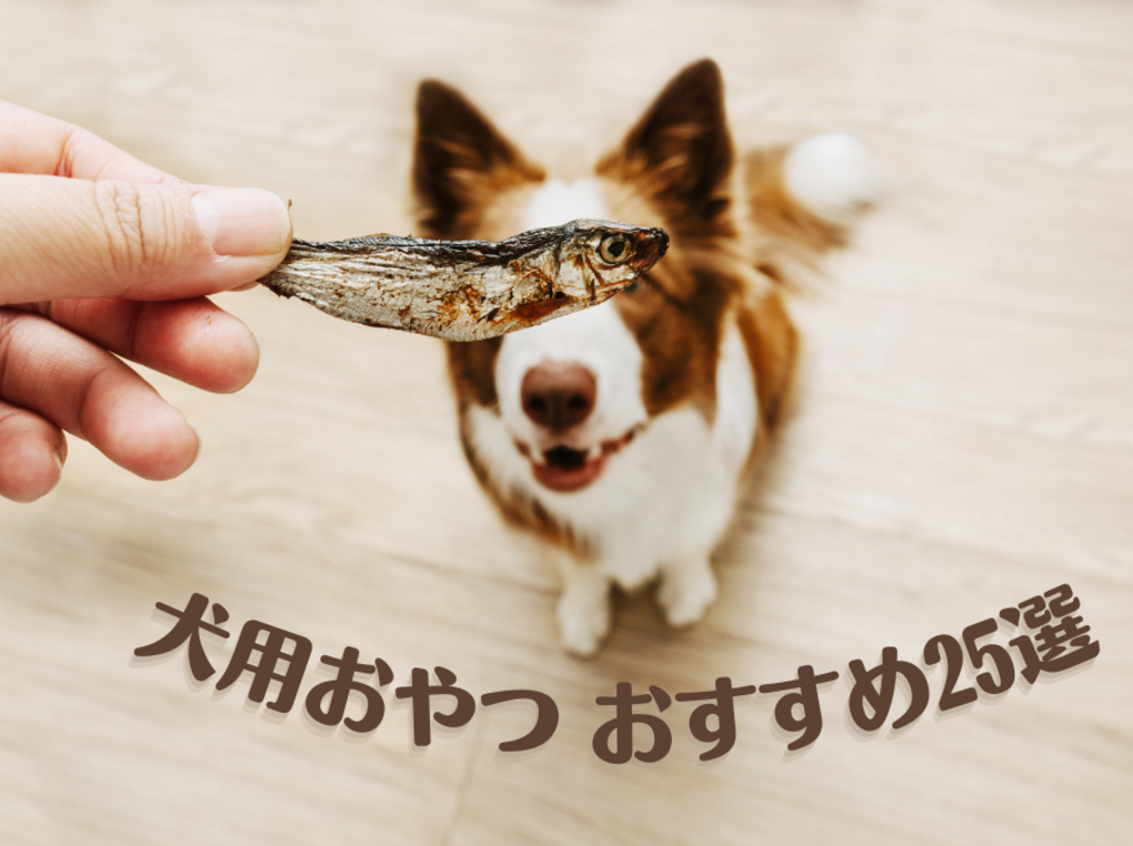 【2023年】犬用おやつのおすすめ25選｜無添加で美味しいおやつもピックアップ！