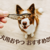【2023年】犬用おやつのおすすめ25選｜無添加で美味しいおやつもピックアップ！