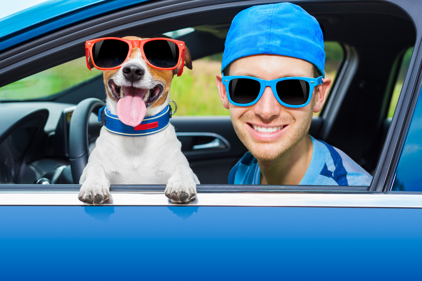 犬用ドライブボックスおすすめ10選 おしゃれで安全 小型犬 中型犬 大型犬用も マイナビおすすめナビ