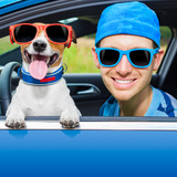 ドライブボックス・ベッドおすすめ15選｜愛犬とのドライブを安全に楽しもう！