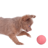 犬用の知育玩具おすすめ22選｜ペットが喜ぶおもちゃを紹介