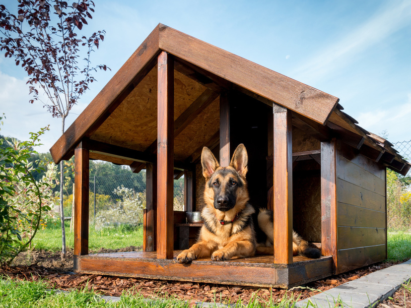 21年 屋外向け 犬小屋のおすすめ10選 ふくふく動物病院の院長に聞いた マイナビおすすめナビ