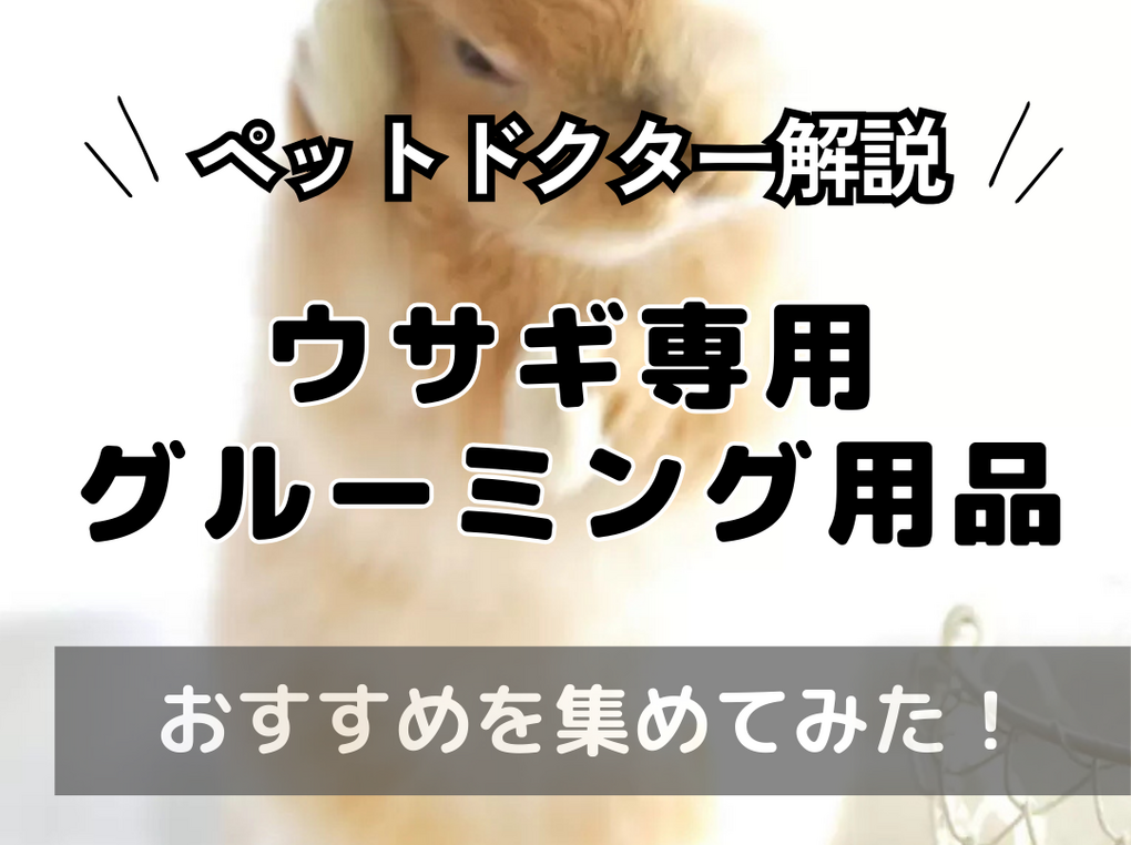 うさぎのグルーミング用品人気おすすめ7選【ブラシをタイプ別に紹介】ペットドクターが解説