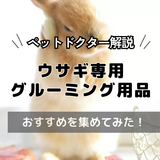 うさぎのグルーミング用品人気おすすめ7選【ブラシをタイプ別に紹介】ペットドクターが解説